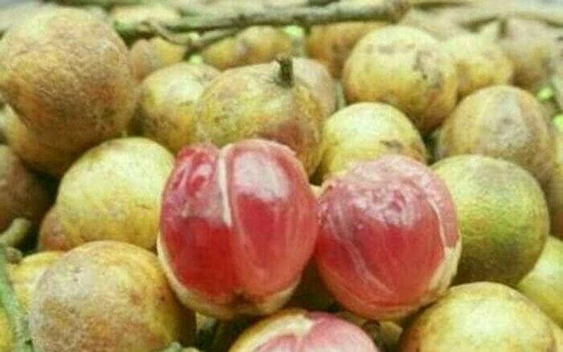 Розовый фрукт из тайланда